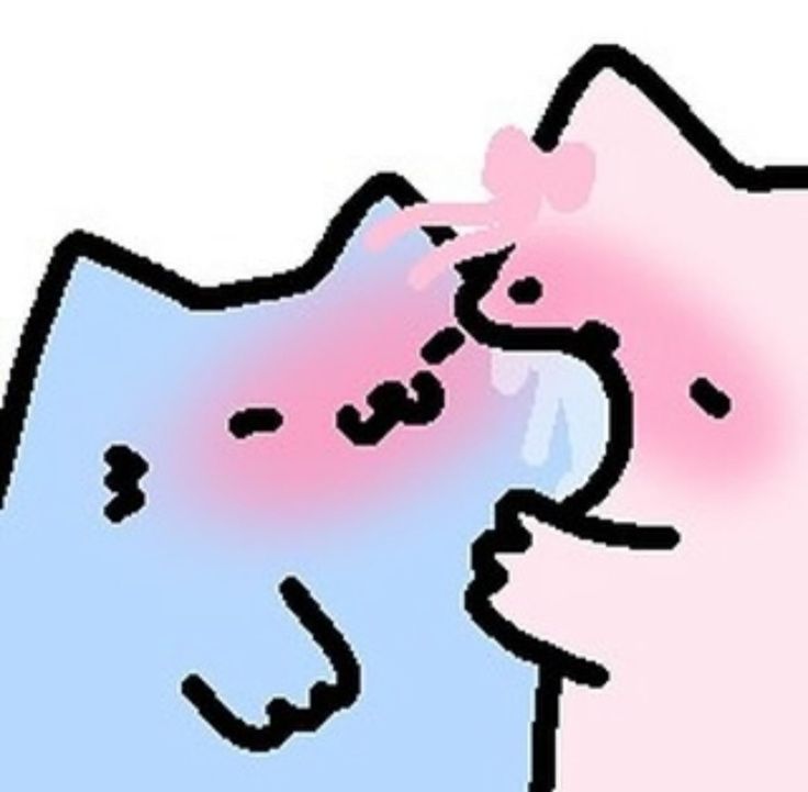 Милые коты обнимаются